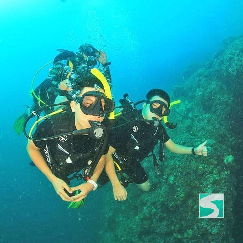 Diving Koh Samui - At beach for beginners - kohsamui.tours