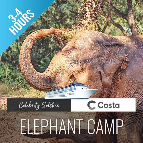 elephant tent Elephant Camp Animal Shelter