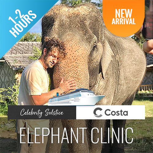 Koh Samui Elephant Home Animal Shelter Feeding Activity