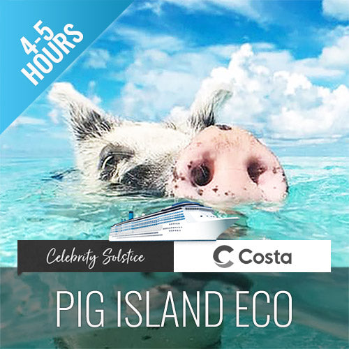 Amazing Pig Island Tour - Cruise Ship Tours - kohsamui.tours
