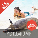 <b>30-04-24 **Hot Deal 30%**</b></br> Pig Island VIP Longtail Boat