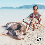 Private Last Minute Beach & Snorkeling Cruise Ship Tour - Pig Island