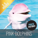 FULL DAY LUXURY BOAT TOUR TO KHANOM - WATCH PINK DOLPHINS - kohsamui.tours