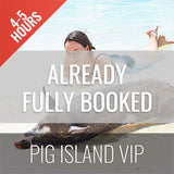 <b>29-05-24 **Hot Deal 30%**</b></br> Pig Island VIP Longtail Boat