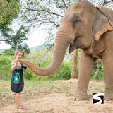 Elephant Sanctuary Samui - Ethical Animal Activity - kohsamui.tours