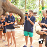 Koh Samui Elephant Home Animal Shelter Feeding Activity