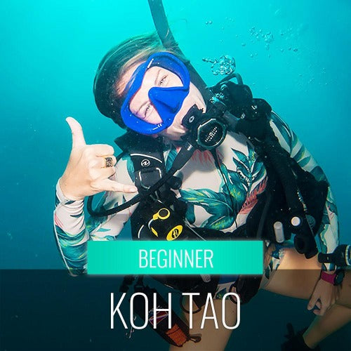 Trial Diving Koh Tao - Experience the open sea - kohsamui.tours