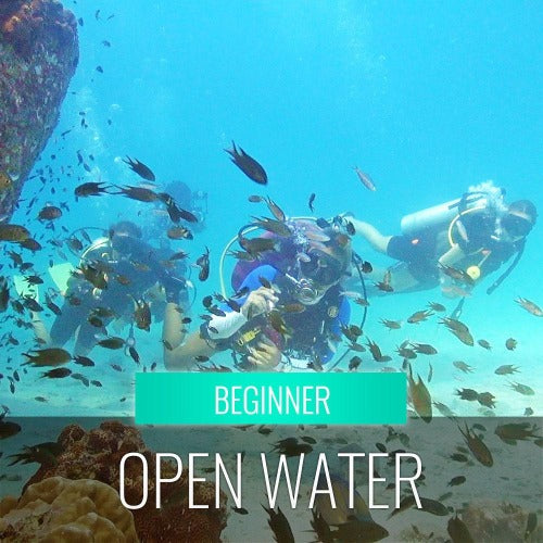 Koh Samui diving course - pool & open sea - kohsamui.tours