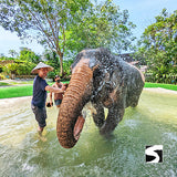 Private Zodiac Park, Elephant Clinic, Waterfall & the best View Point