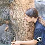 <b>**Hot Deal 30%**</b></br> Half Day Activity Elephant Home Shelter