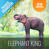 Round-Trip Transfer Elephant Kingdom 400m Skywalk Animal Shelter