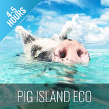Pig Island Snorkeling Koh Mudsum & Koh Tan Speed Boat Economy Tour