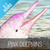 Koh Samui Pink Dolphin tour Khanom